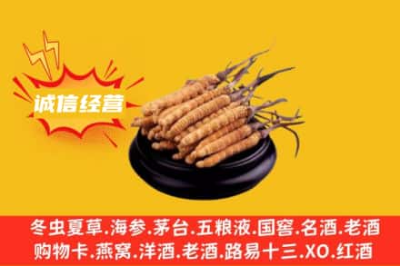 贺州富川县回收冬虫夏草